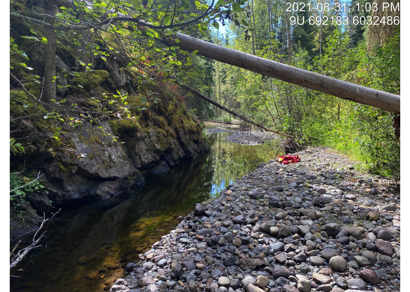 Habitat upstream of PSCIS crossing 197967.