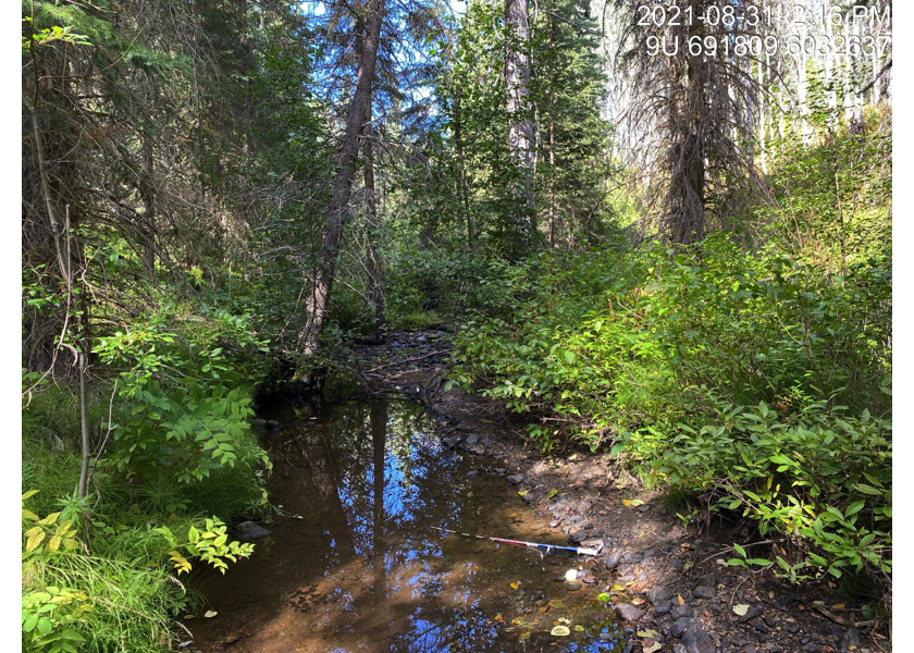 Habitat upstream of PSCIS crossing 197967.