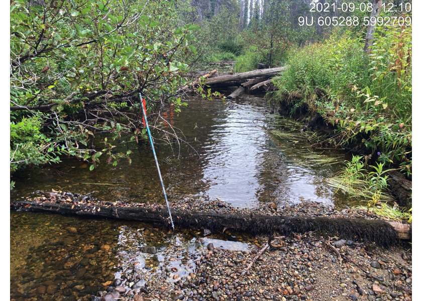 Typical habitat downstream of PSCIS crossing 198000.