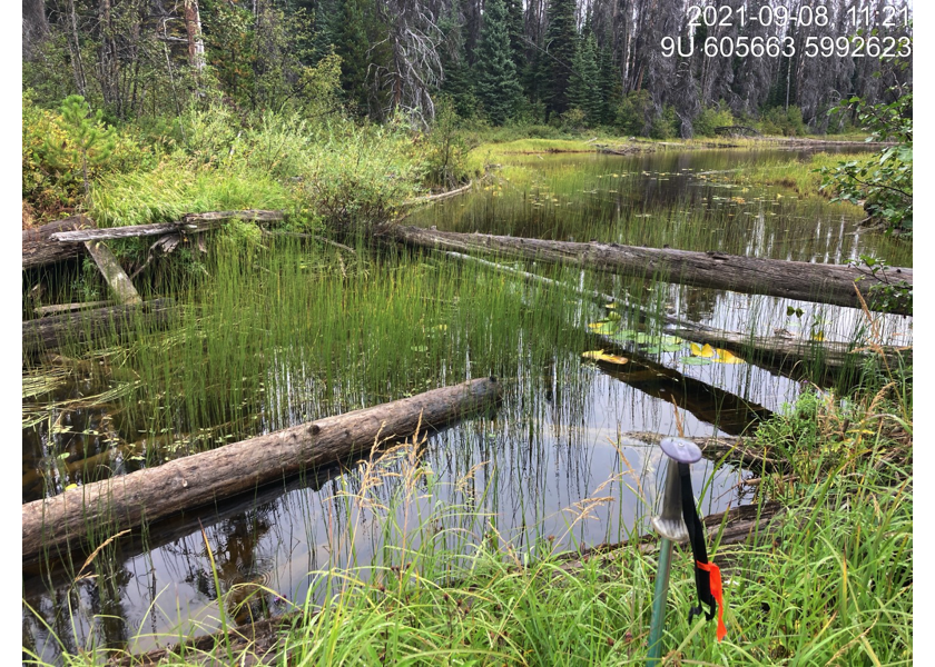 Typical habitat upstream of PSCIS crossing 198000.