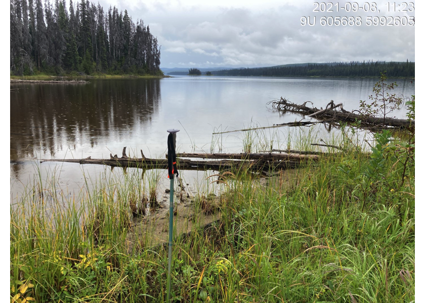 Typical habitat upstream of PSCIS crossing 198000.