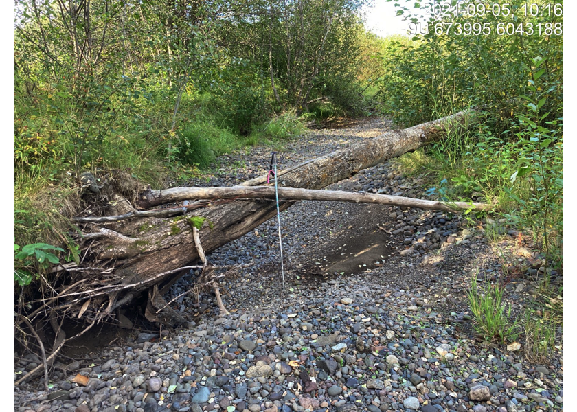 Typical habitat downstream of PSCIS crossing 198048.