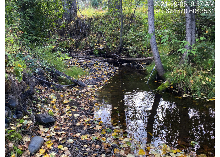 Typical habitat upstream of PSCIS crossing 198048.