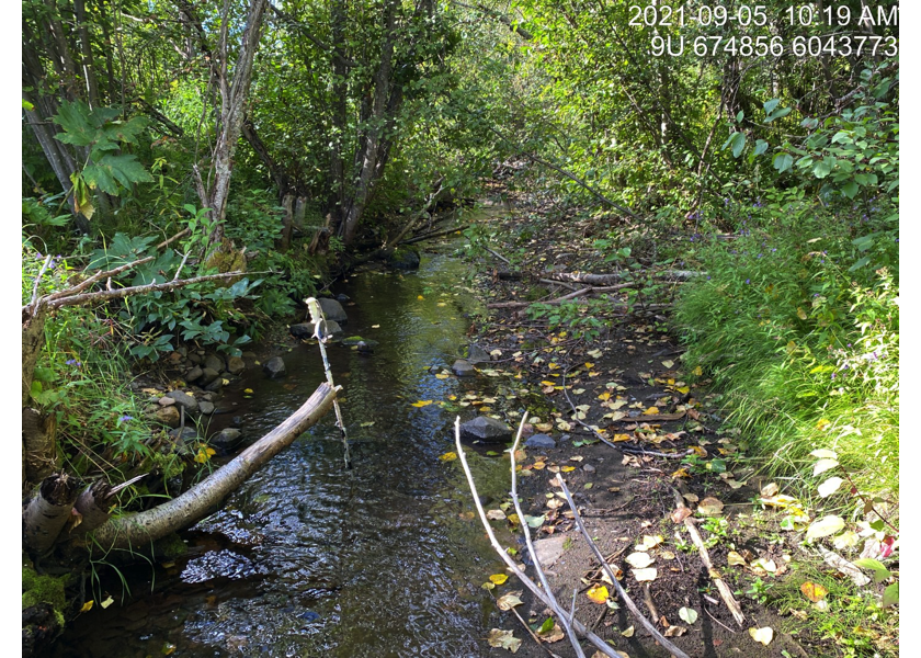 Typical habitat upstream of PSCIS crossing 198048.