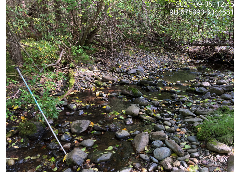 Habitat upstream of PSCIS crossing 198049.