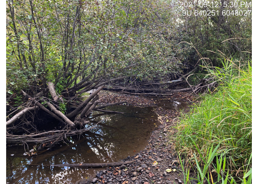 Typical habitat downstream of PSCIS crossing 198066.