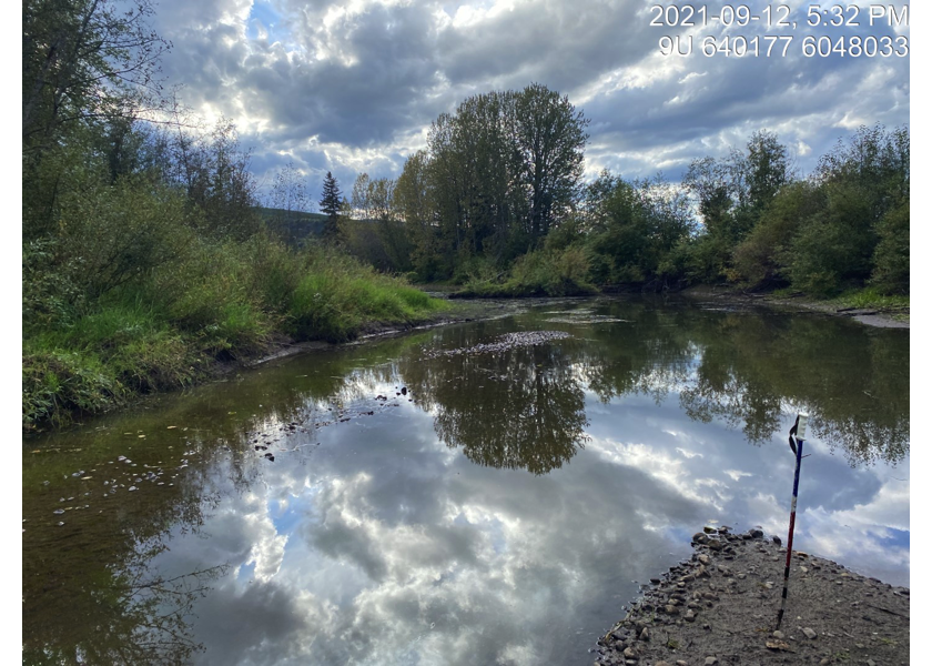 Habitat on side channel of Bulkley River downstream of crossing 198066.