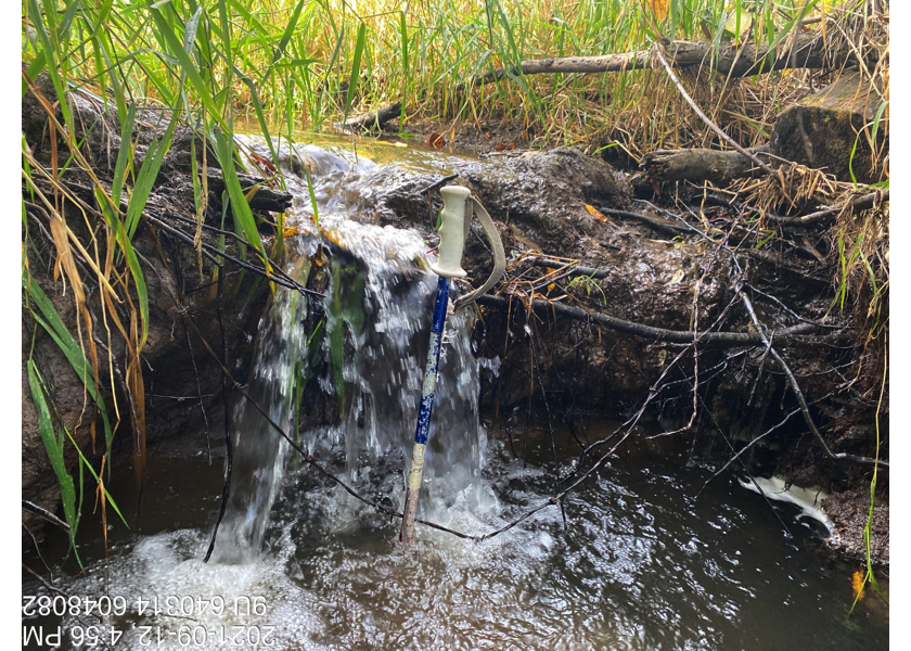 Small drop (50cm high) located ~20m upstream of PSCIS crossing 198066.