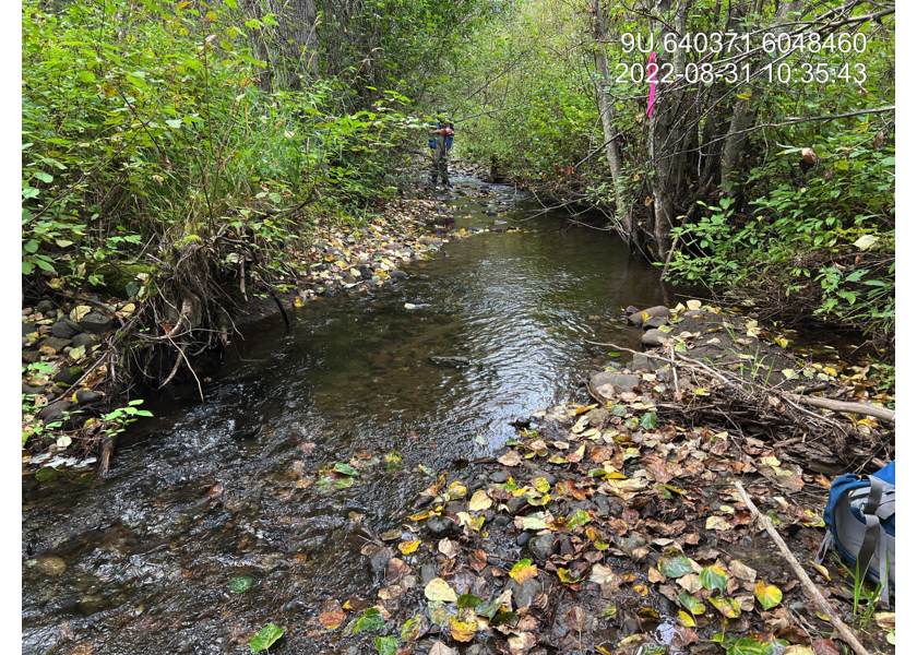 Habitat upstream of PSCIS crossing 198066 and downstream of PSCIS crossing 123378.