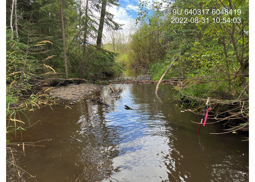 Habitat upstream of PSCIS crossing 198066 and downstream of PSCIS crossing 123378.