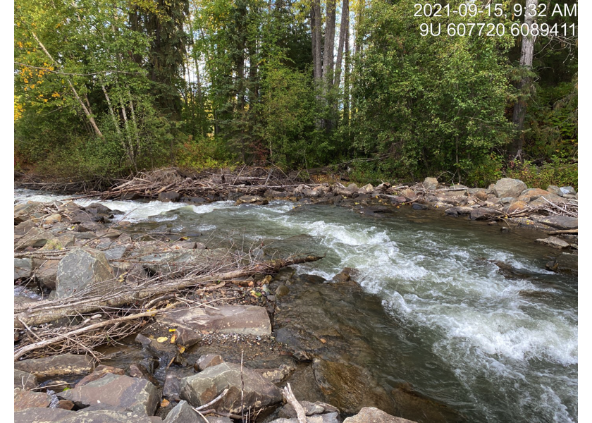 Typical habitat downstream of PSCIS crossing 57944.