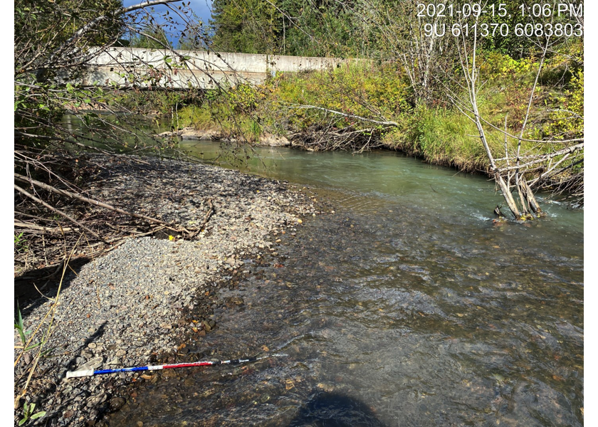 Typical habitat upstream of PSCIS crossing 57944.