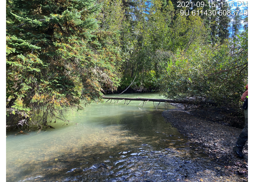 Typical habitat upstream of PSCIS crossing 57944.