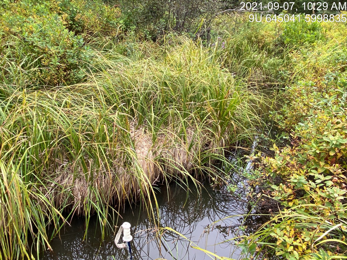 Typical habitat upstream of PSCIS crossing 197378.