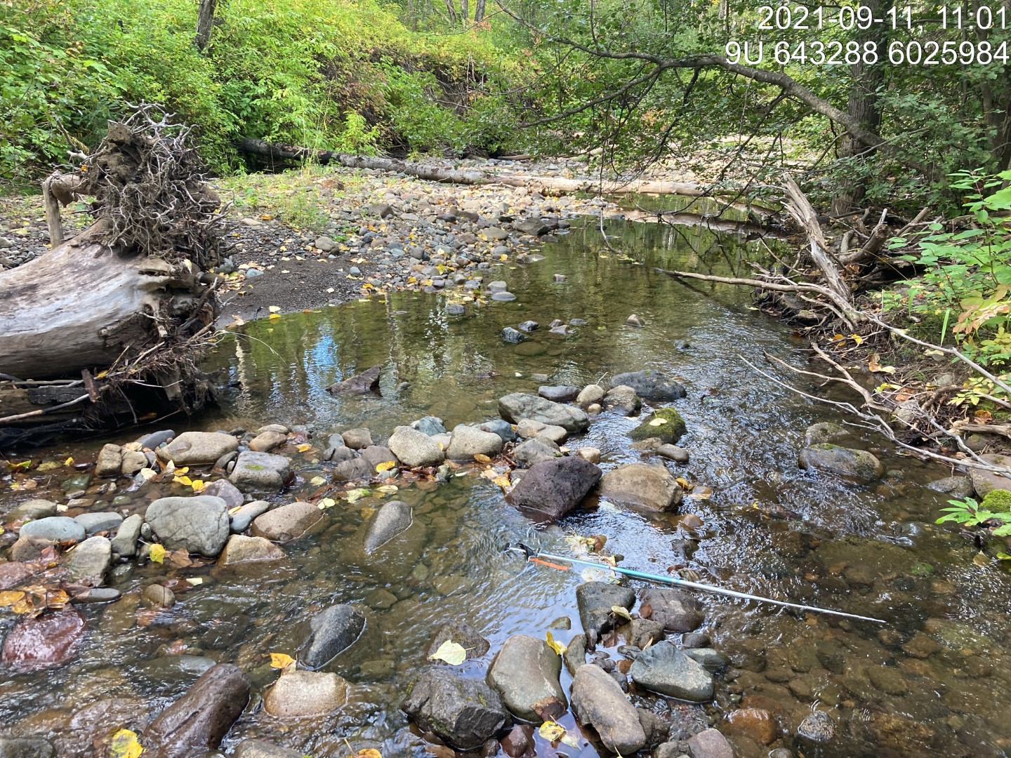 Habitat downstream of PSCIS crossing 197962.