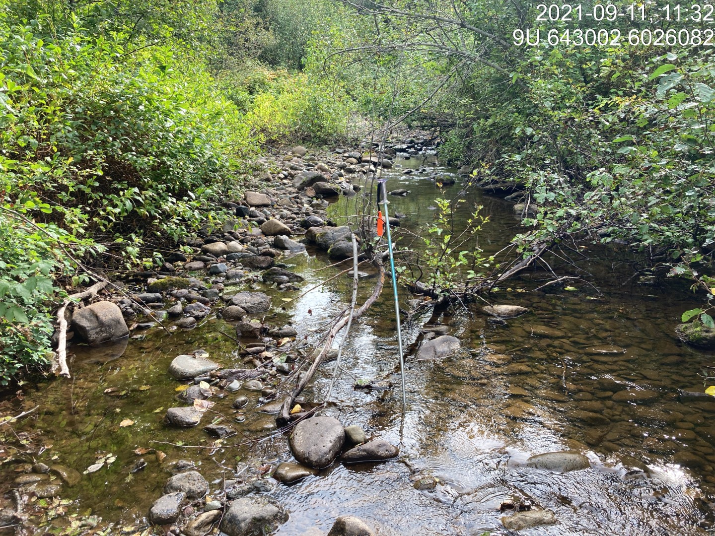 Habitat downstream of PSCIS crossing 197962.