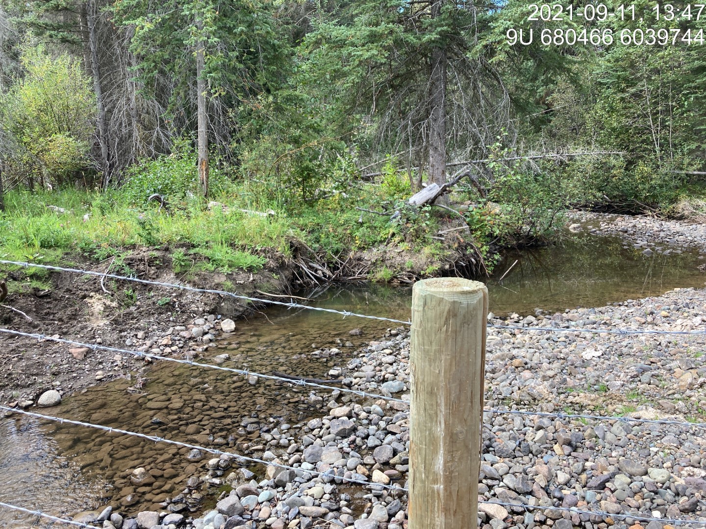 Typical habitat downstream of PSCIS crossing 197976.