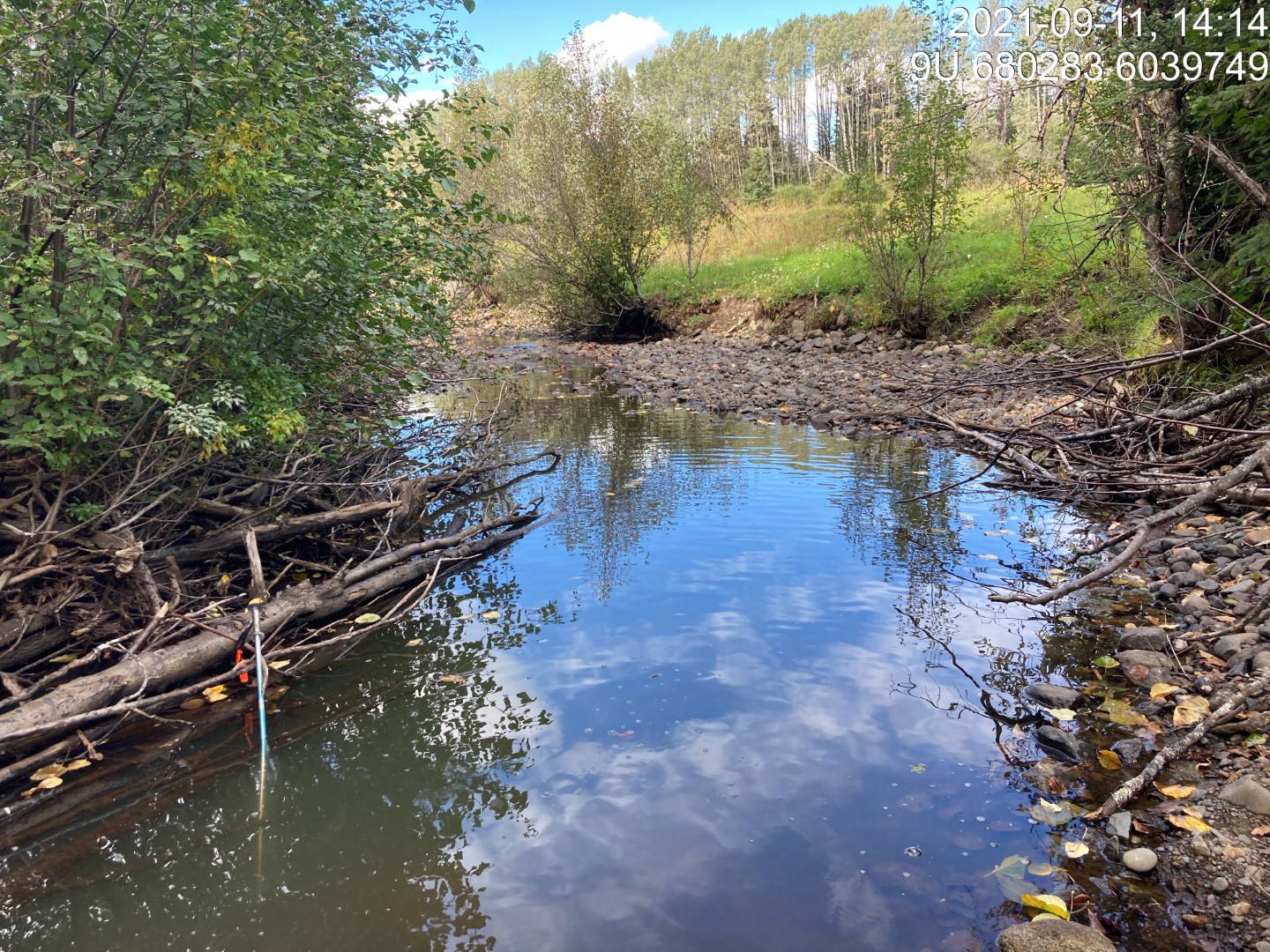 Typical habitat downstream of PSCIS crossing 197976.