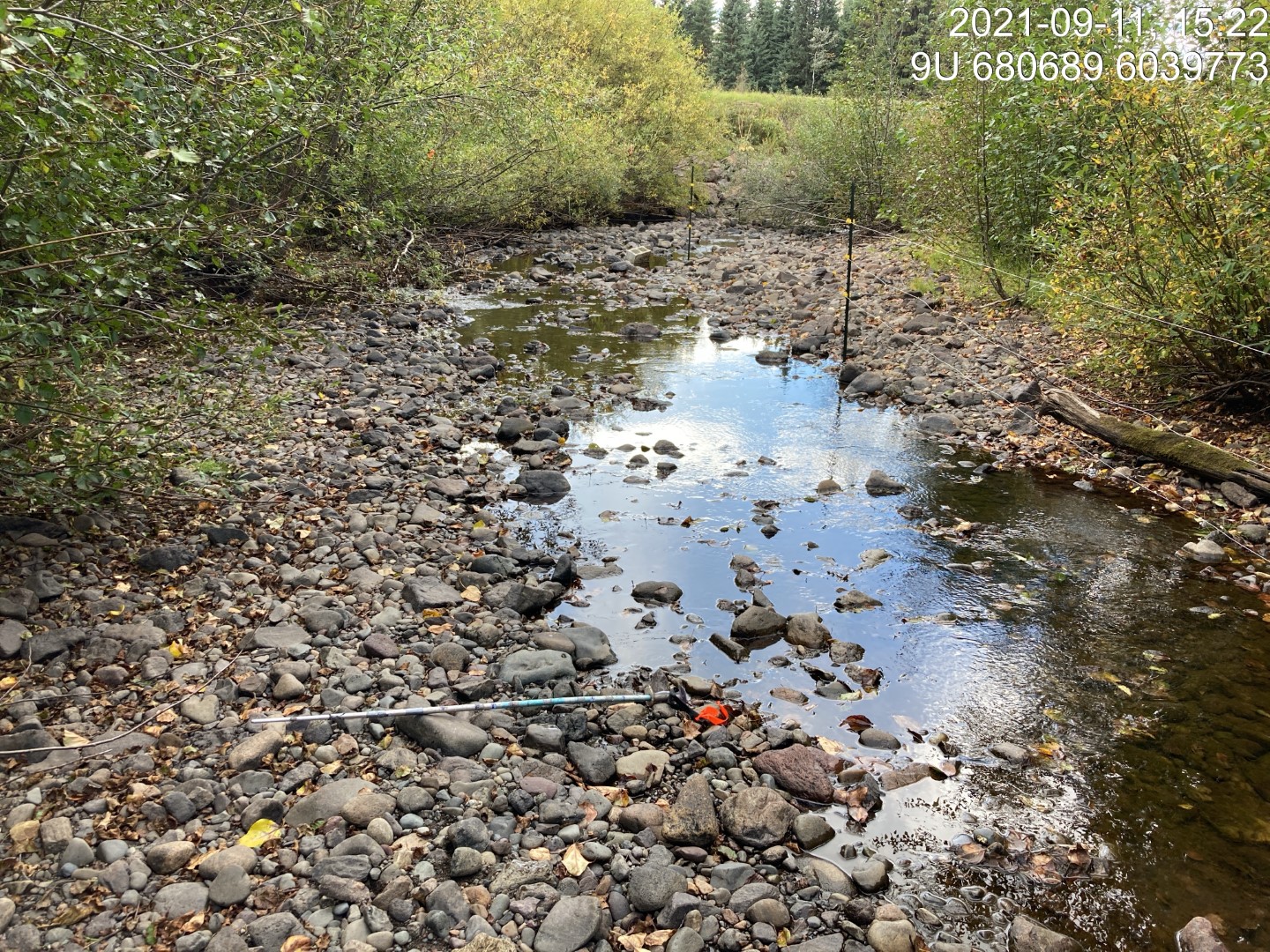 Typical habitat upstream of PSCIS crossing 197976.