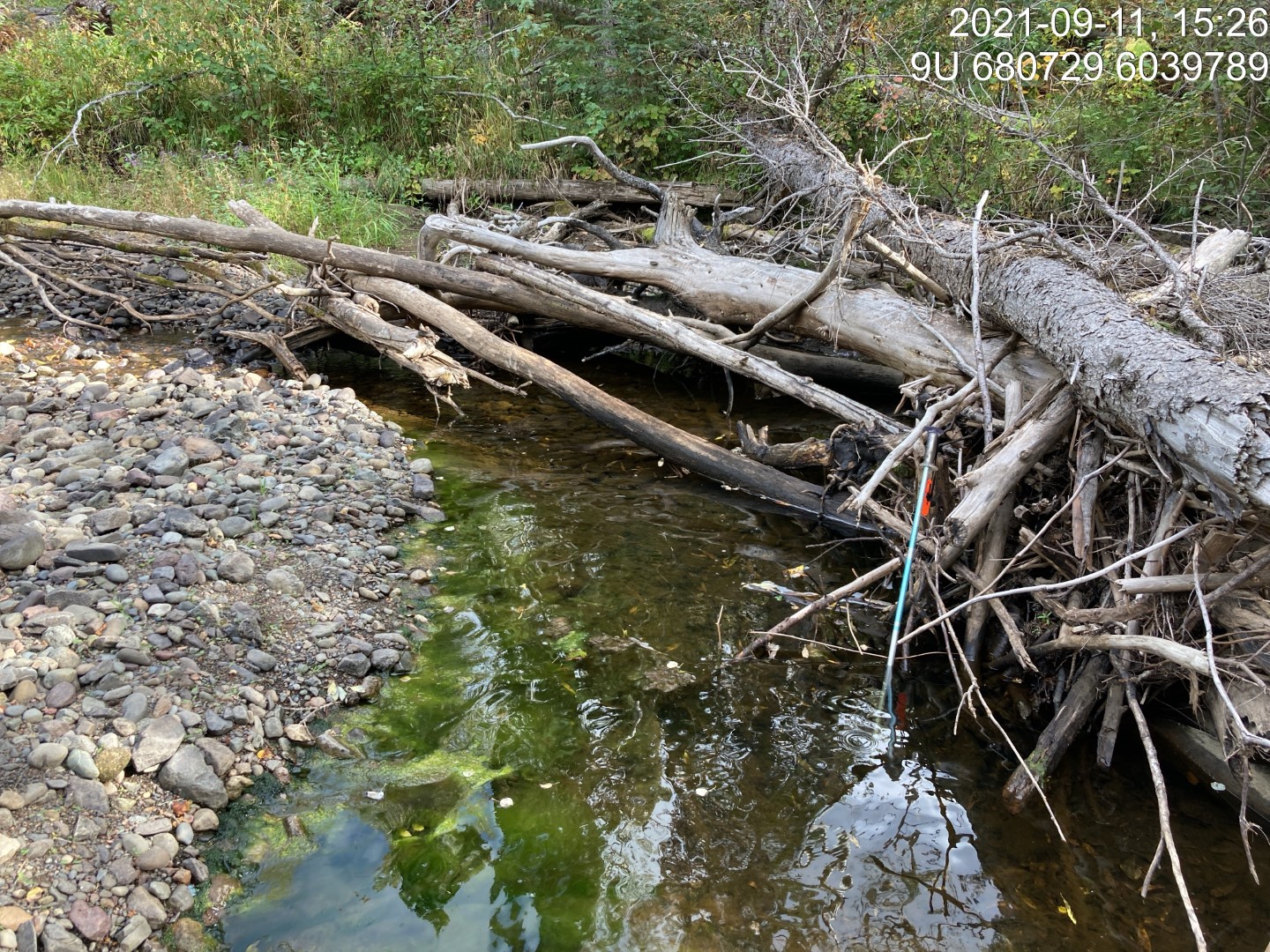 Typical habitat upstream of PSCIS crossing 197976.