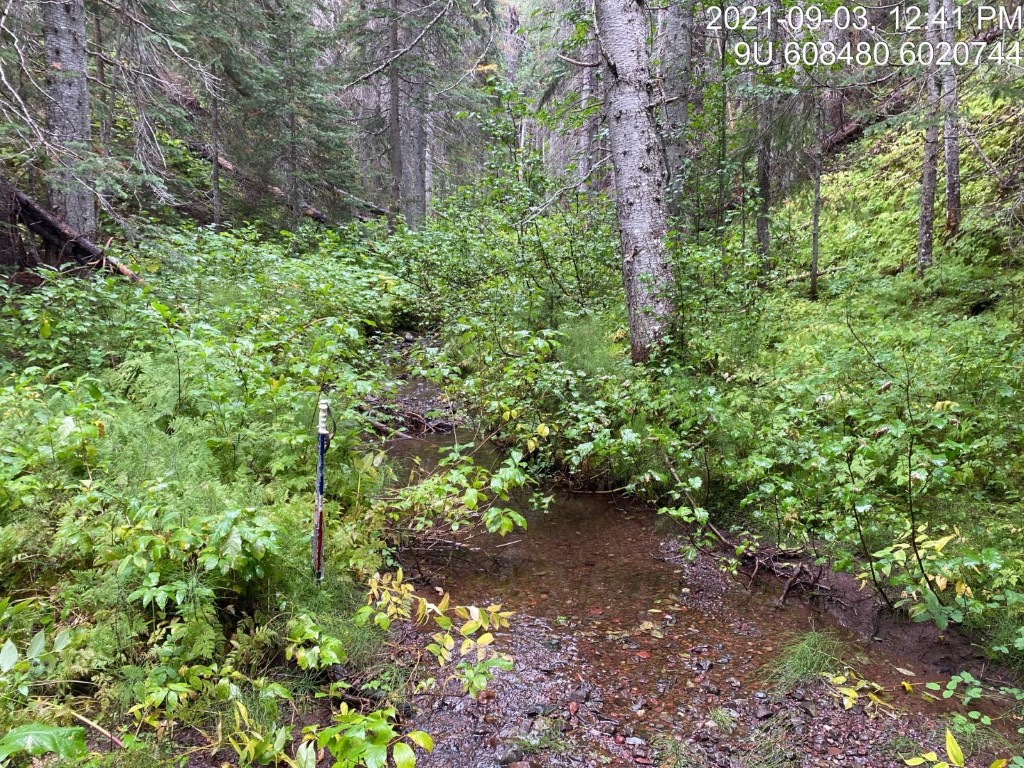 Typical habitat upstream of PSCIS crossing 198016.