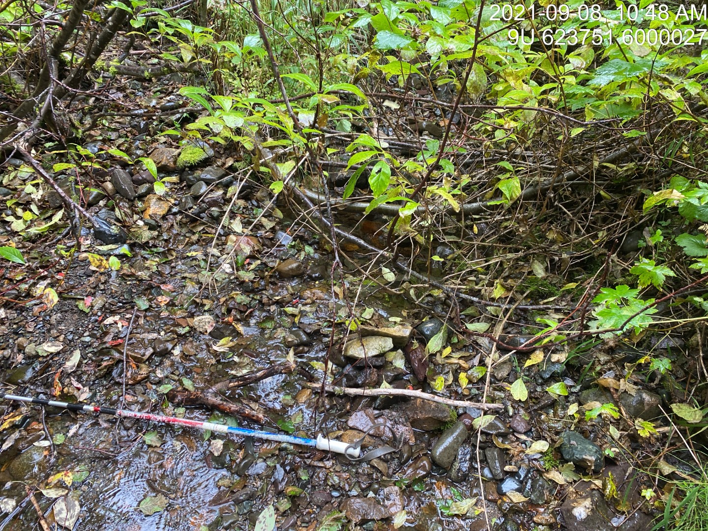 Typical habitat upstream of PSCIS crossing 198064.