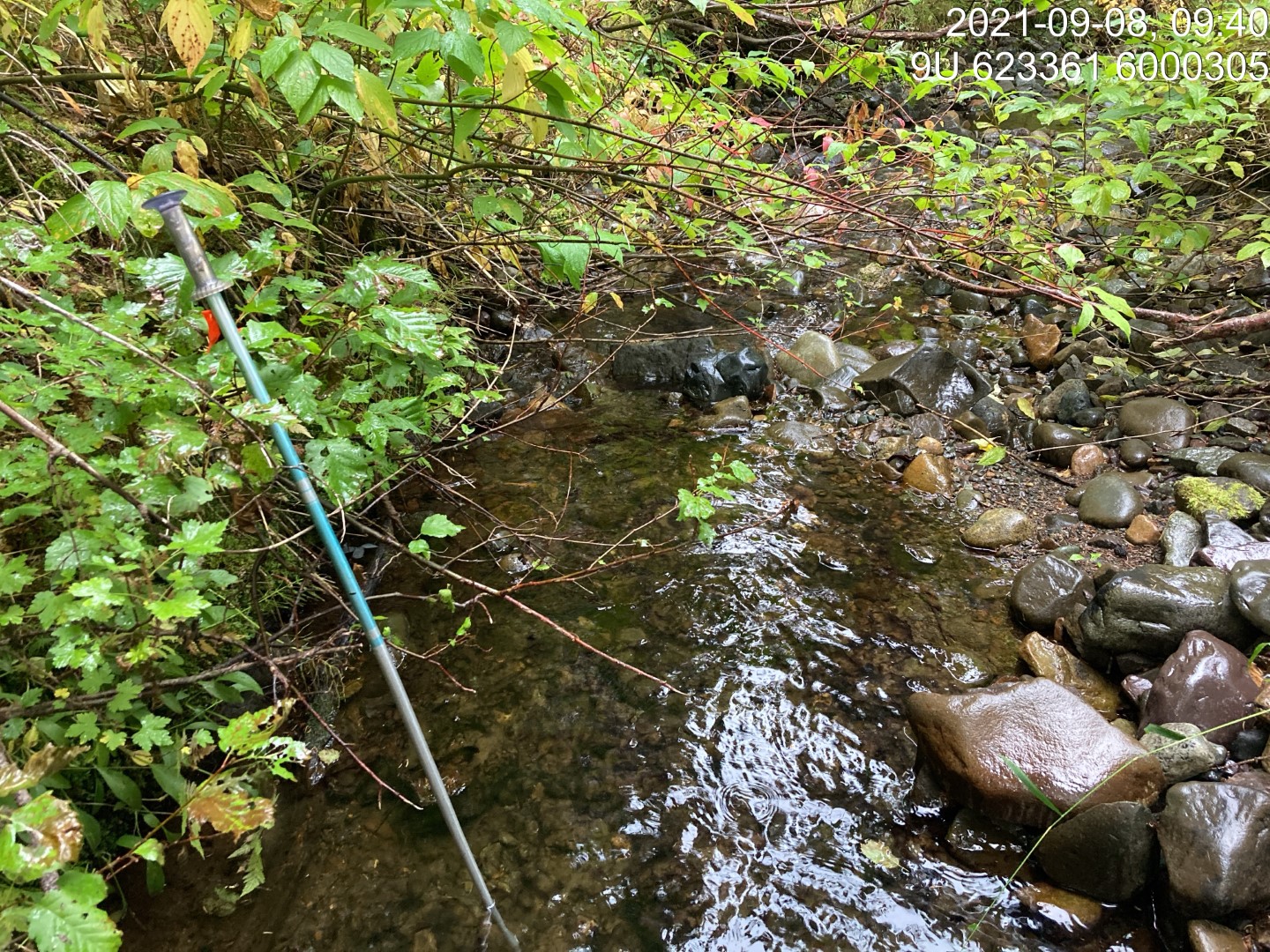 Typical habitat downstream of PSCIS crossing 198064.