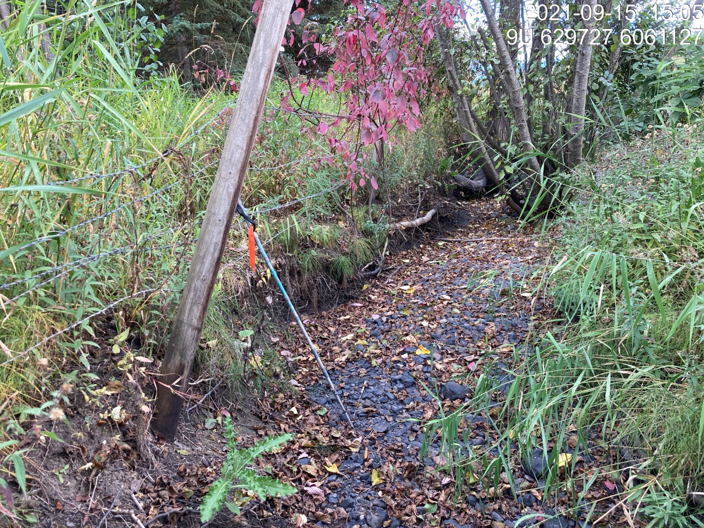 Habitat downstream of PSCIS crossing 58151.