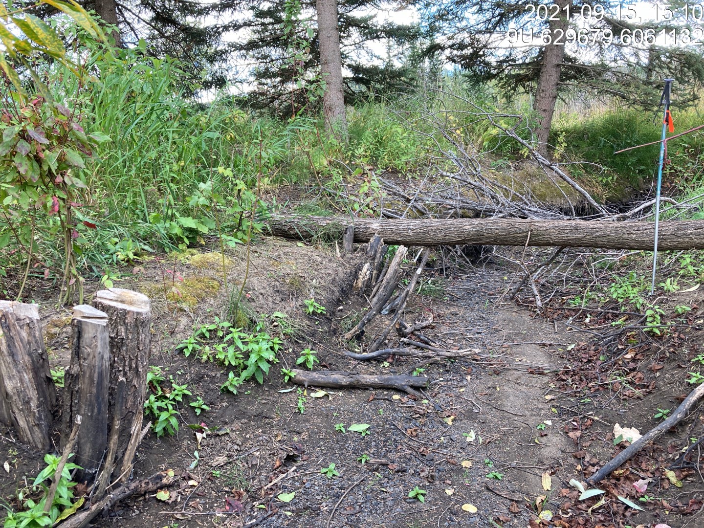 Typical habitat upstream of PSCIS crossing 123544.