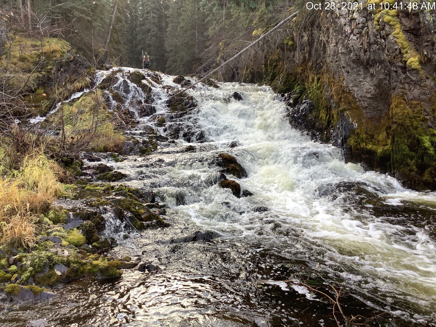 Bulkley Falls main channel.