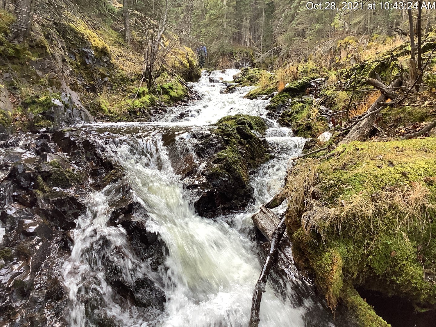 Bulkley Falls side channel.