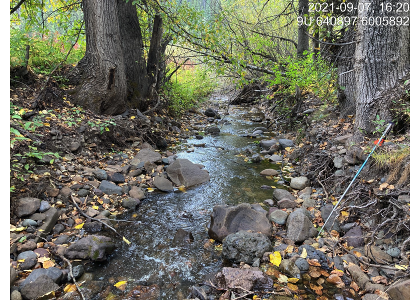 Typical habitat downstream of PSCIS crossing 197379.