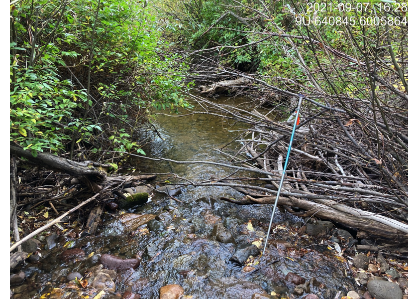 Typical habitat downstream of PSCIS crossing 197379.