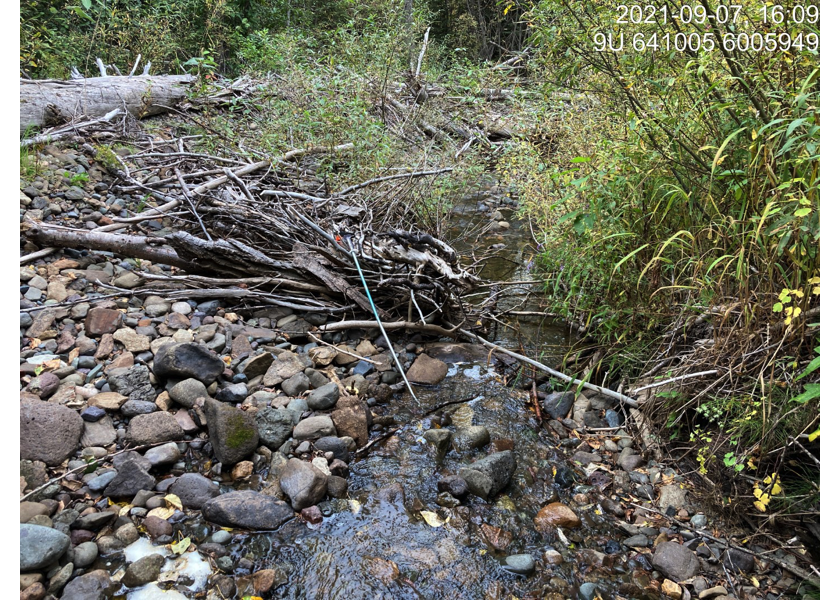 Typical habitat upstream of PSCIS crossing 197379.