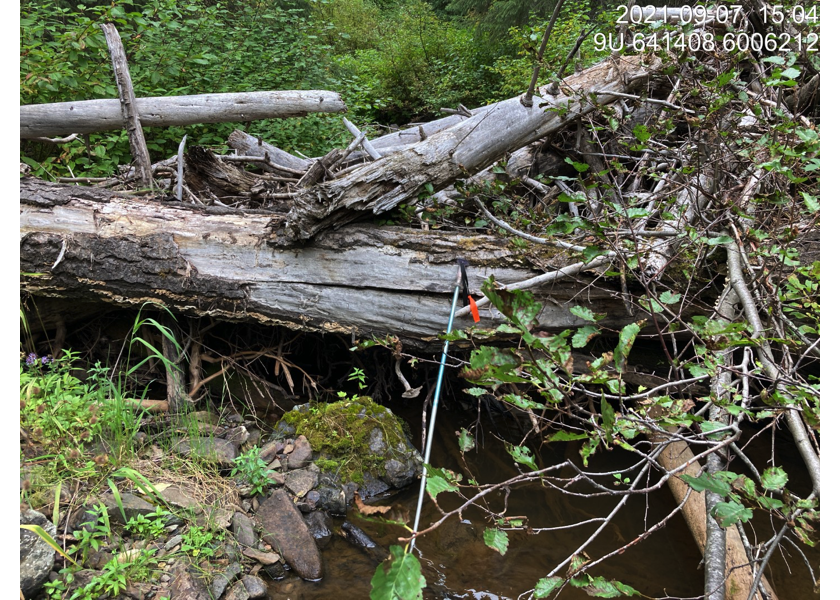 Large woody debris jam upstream of PSCIS crossing 197379.