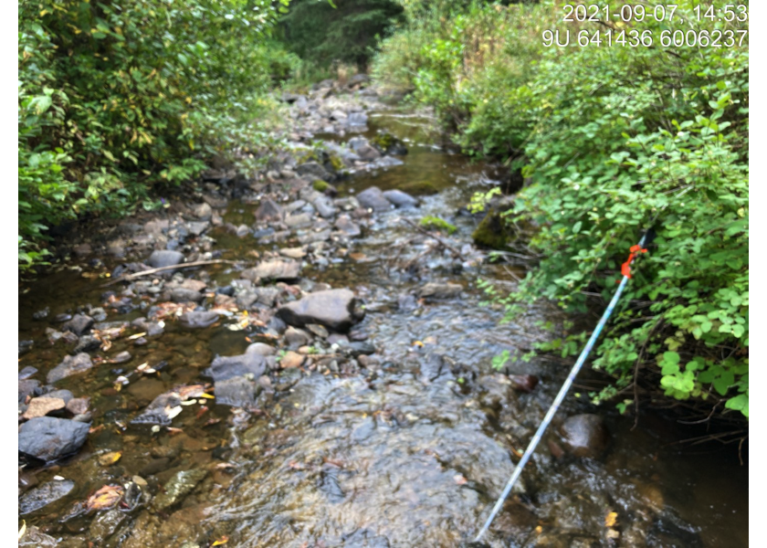 Typical habitat upstream of PSCIS crossing 197379.