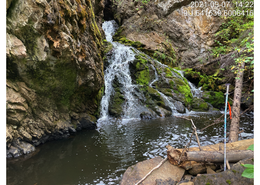 Waterfall upstream of PSCIS crossing 197379.