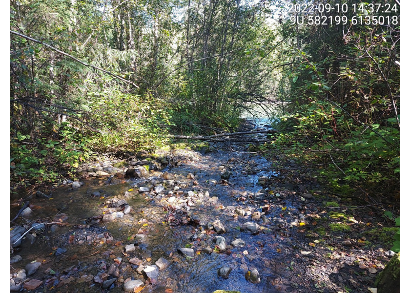 Typical habitat downstream of PSCIS crossing 198215.