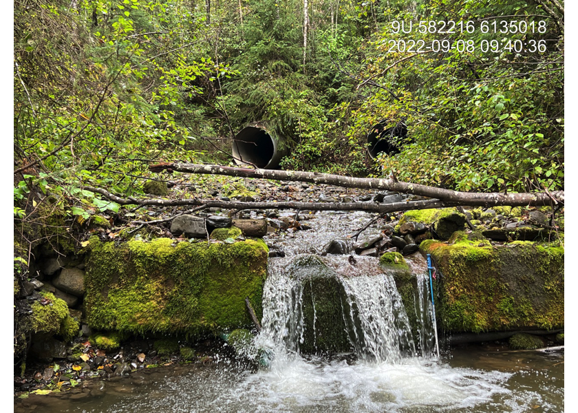 Lock block step downstream of PSCIS crossing 198215.