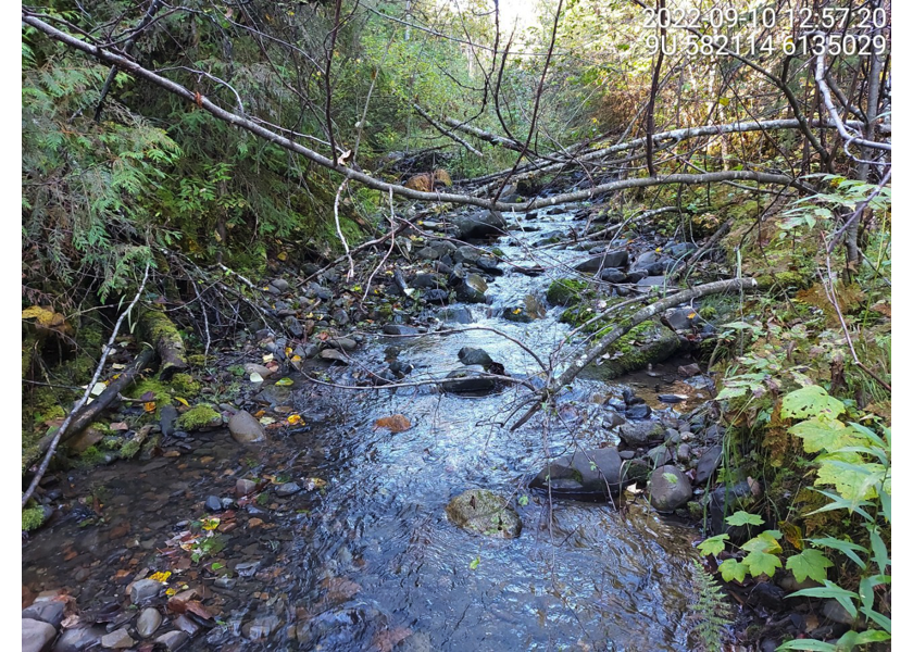 Typical habitat upstream of PSCIS crossing 198215.