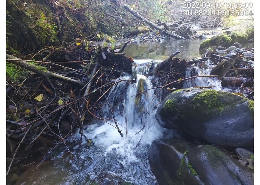 Typical habitat upstream of PSCIS crossing 198215.