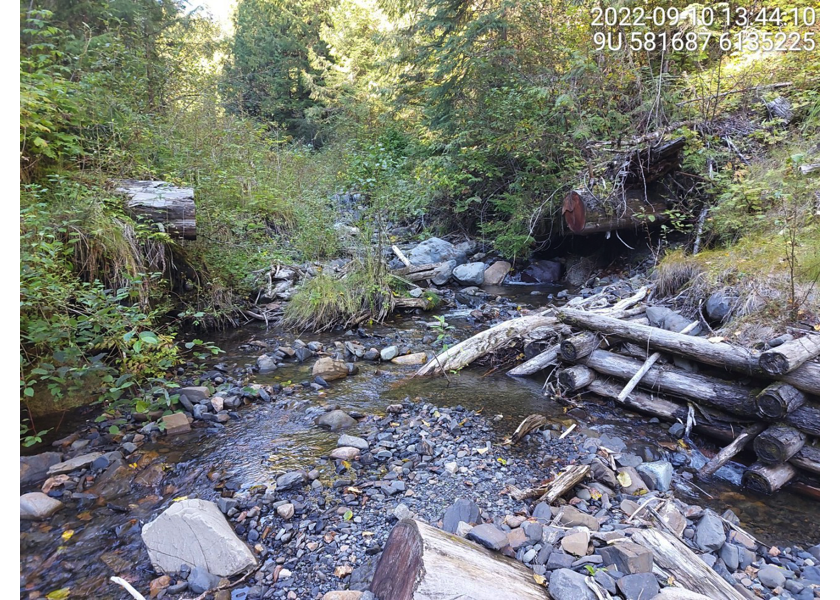 Location of old historic dam, upstream of PSCIS crossing 198215.