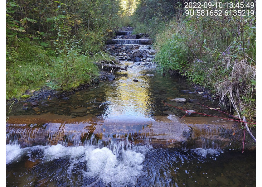 Typical habitat upstream of PSCIS crossing 198215.