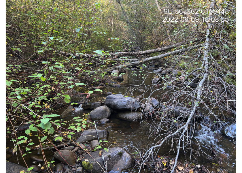 Typical habitat downstream of PSCIS crossing 198220.