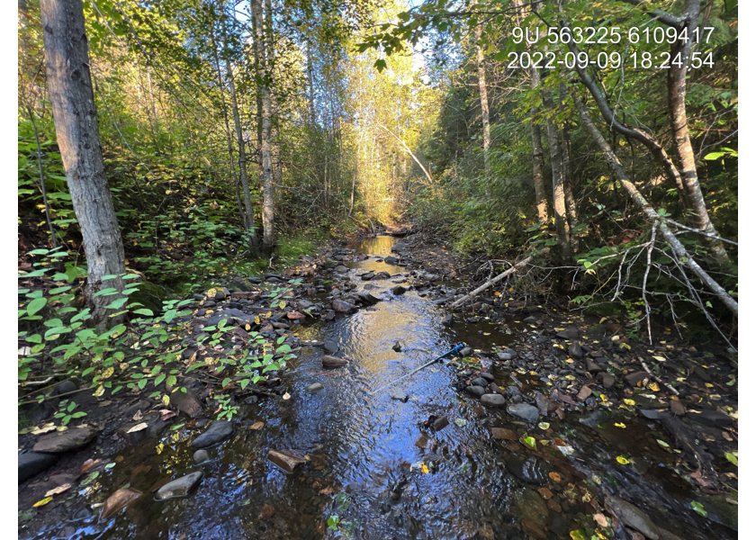 Typical habitat downstream of PSCIS crossing 198220.