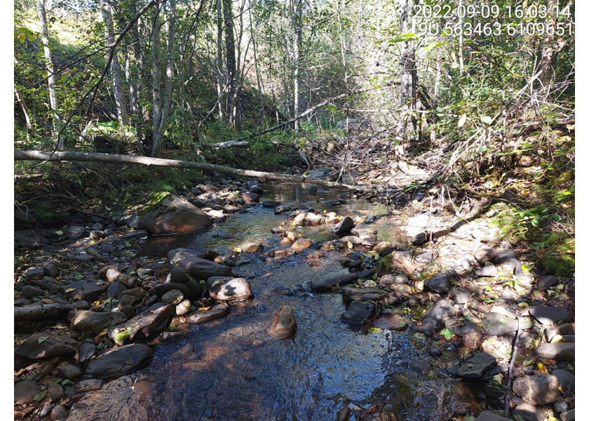 Typical habitat upstream of PSCIS crossing 198220.