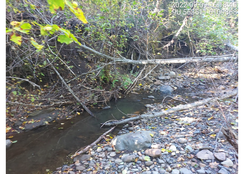 Typical habitat upstream of PSCIS crossing 198220.