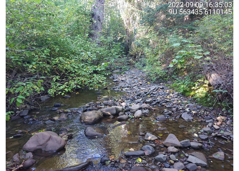 Typical habitat upstream of PSCIS crossing 198220.