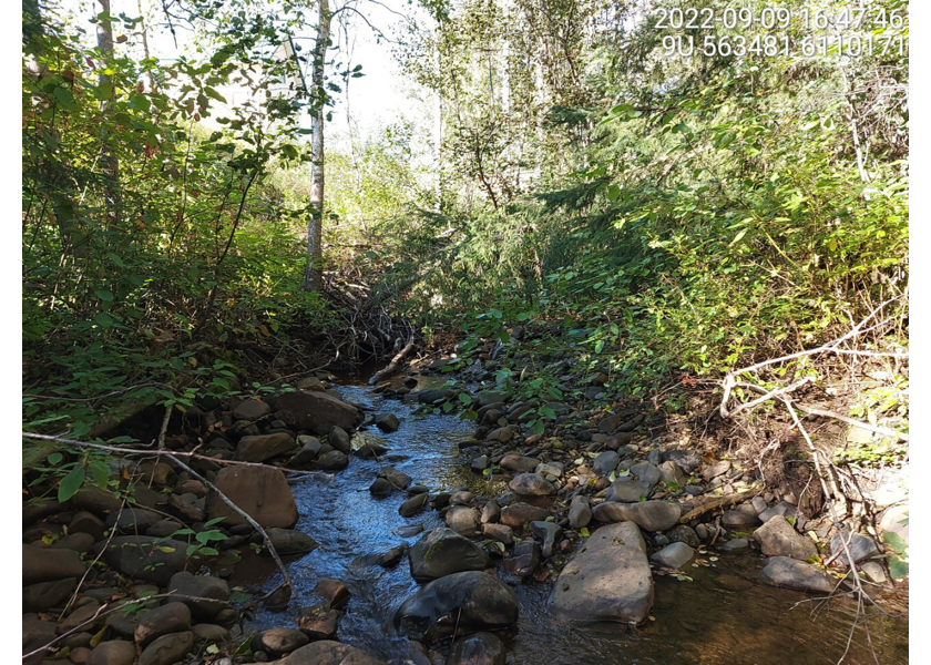 Typical habitat upstream of PSCIS crossing 198220.