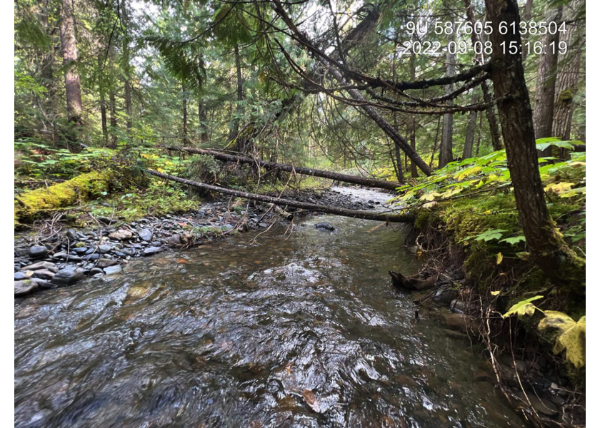 Typical habitat downstream of PSCIS crossing 198222.